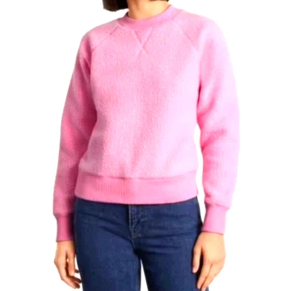 Everlane Renew Fleece Sweatshirt Size Xs